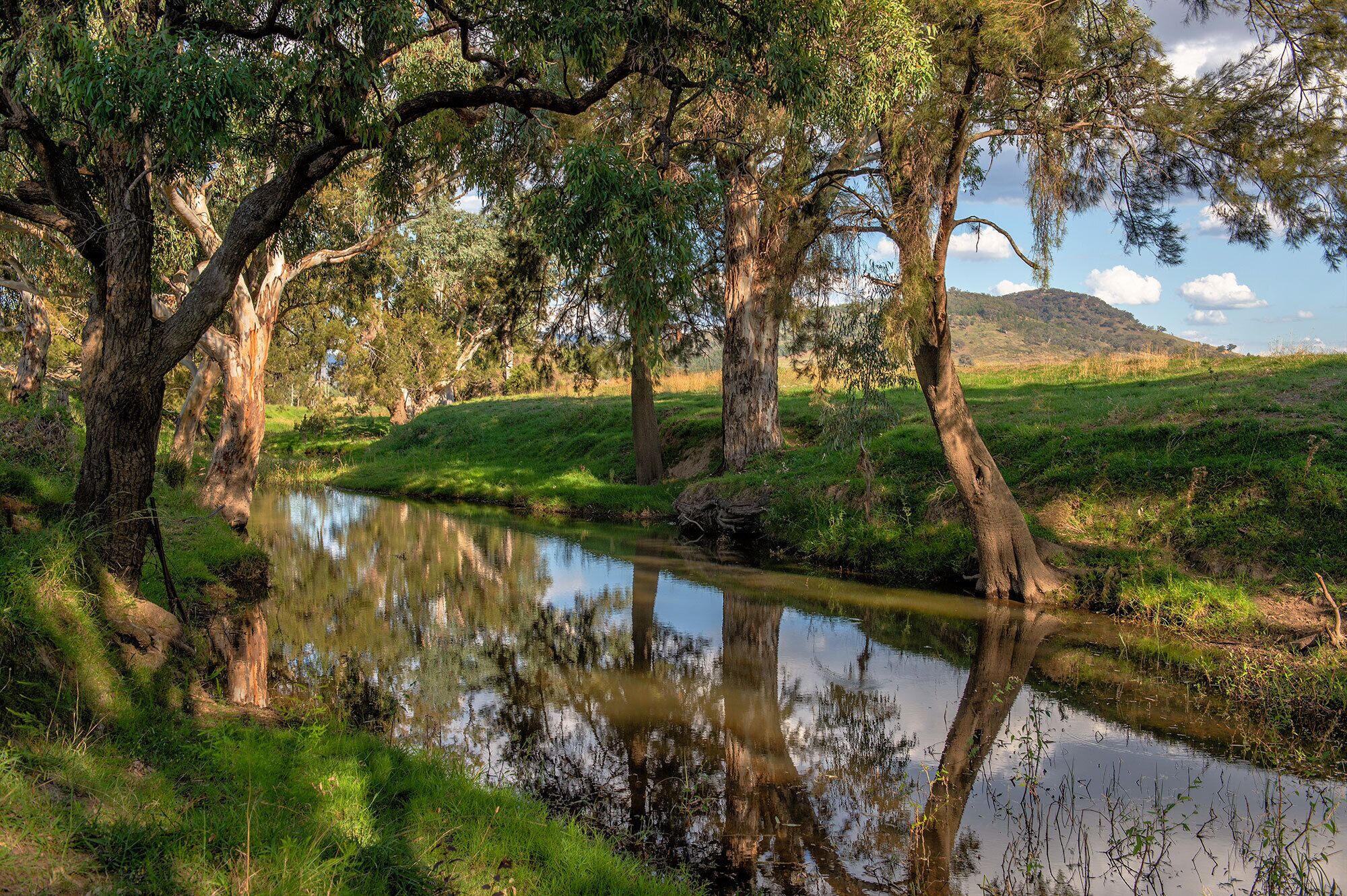 Tom's Cottage- A Wilgowrah Country Escape