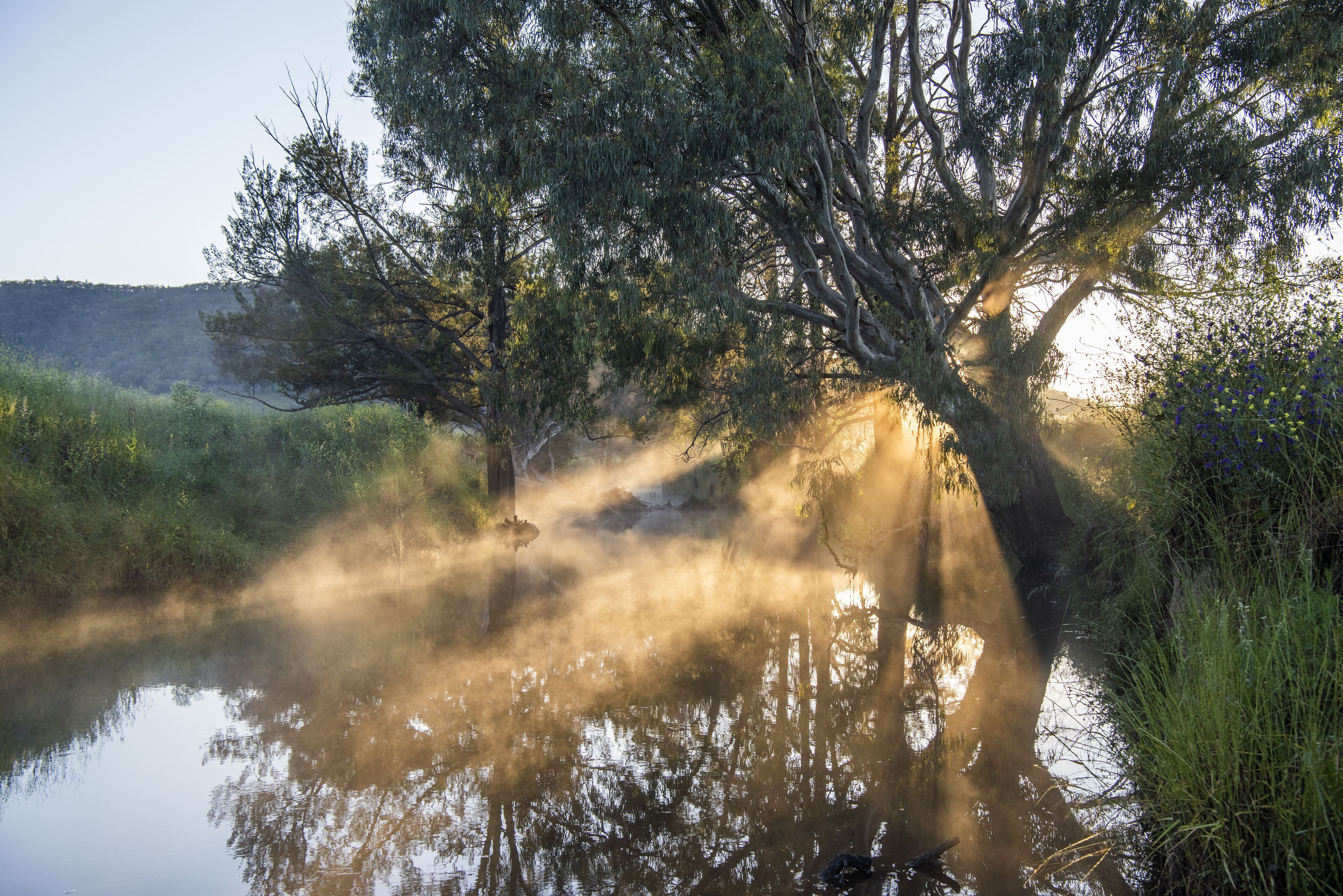 Tom's Cottage- A Wilgowrah Country Escape