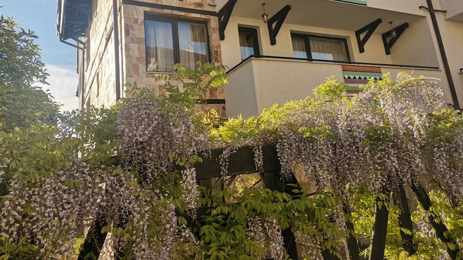 Apart Hotel Dream