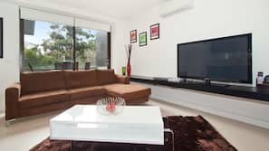 TV, Netflix, DVD player