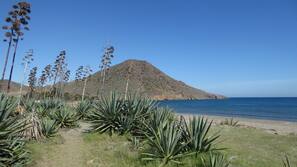 Ubicación cercana a la playa, tumbonas, sombrillas y toallas de playa