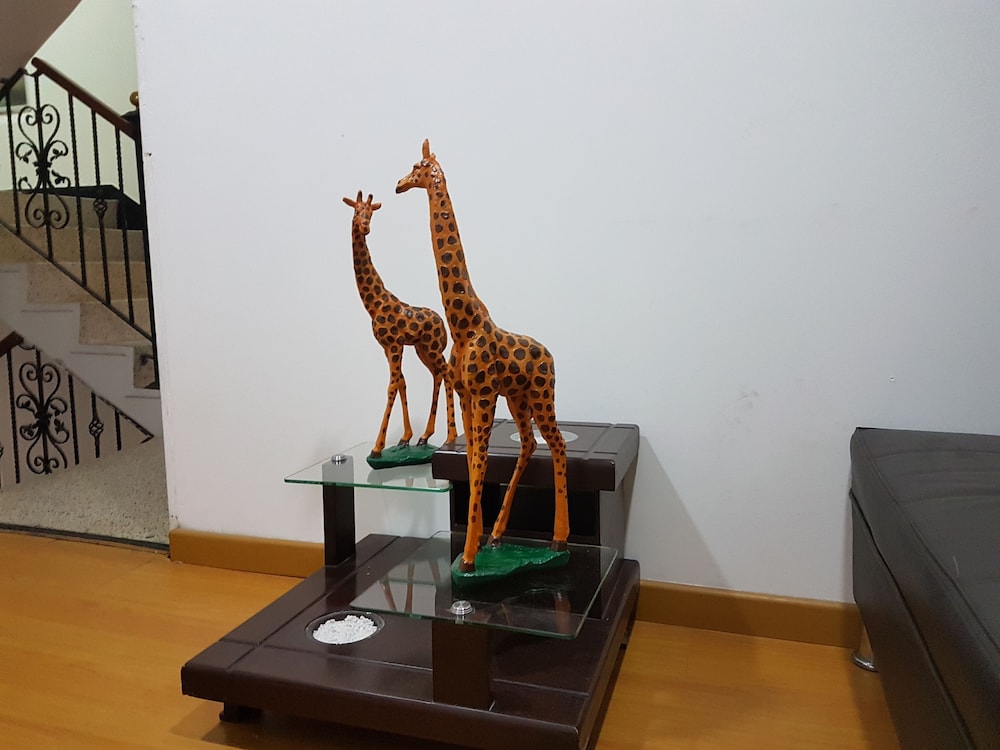 Foto - Hotel Blue Zafiro