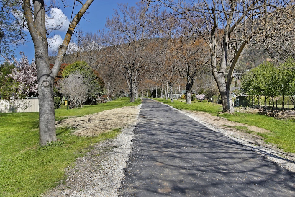 Kalamunda 6 – On the Rail Trail