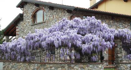 Pietra & Glicine B&B