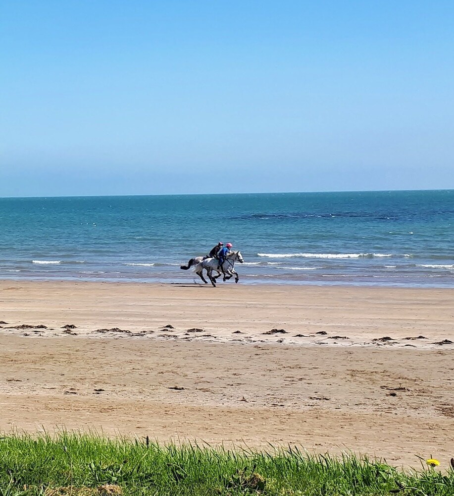 Seaside Holiday Apartments In Dublin Ireland Expedia