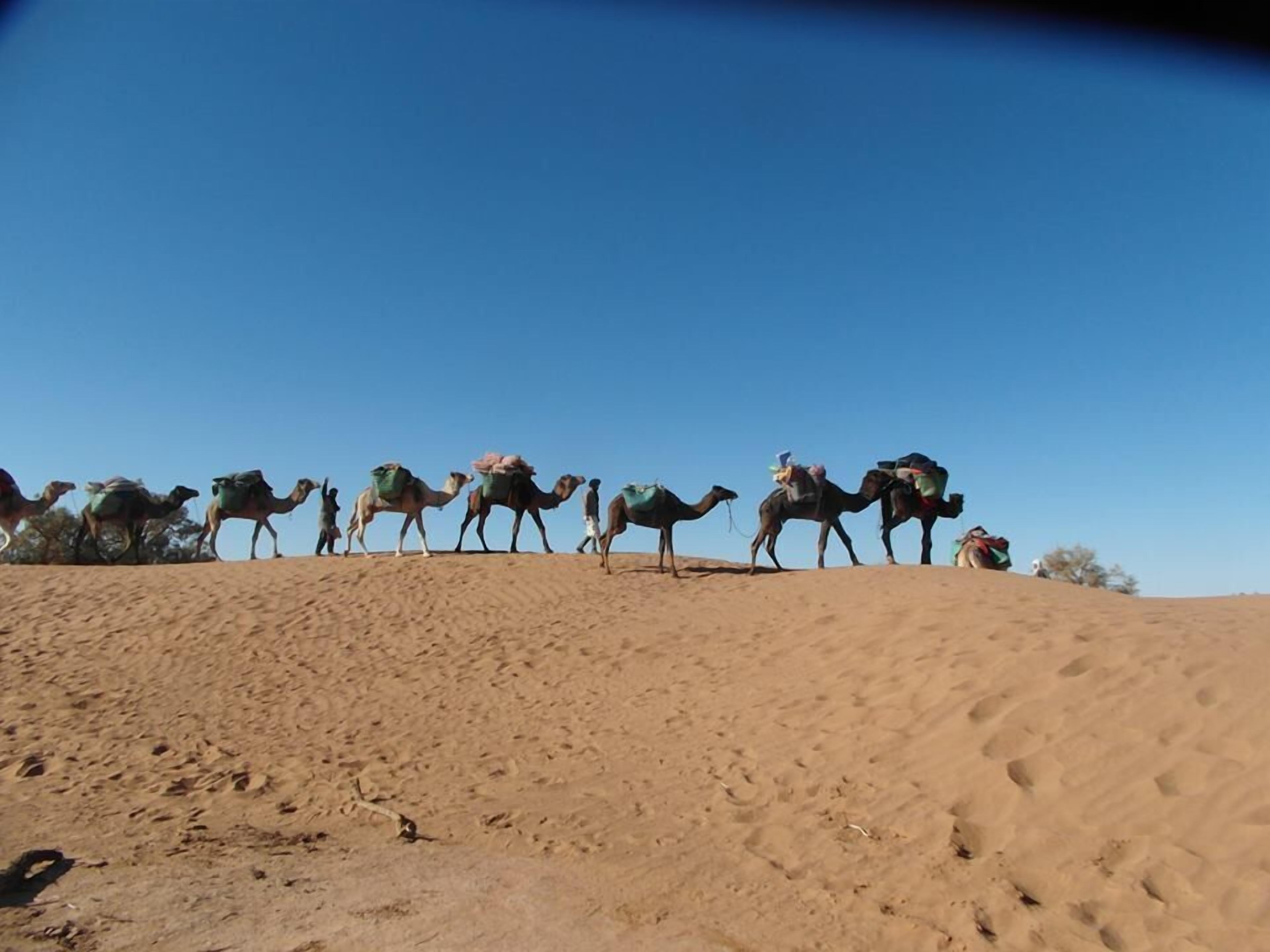 Erg Chegaga Desert Camp in M'Hamid El Ghizlane in MHamid el Ghizlane, Morocco