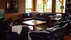 TV, fireplace, DVD player, ping pong table
