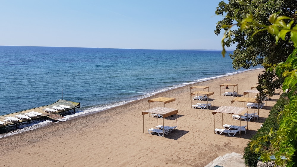 Troas beach'in fotoğrafı biraz temiz temizlik seviyesi ile