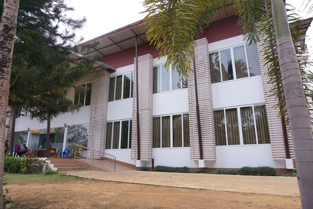 Primary image