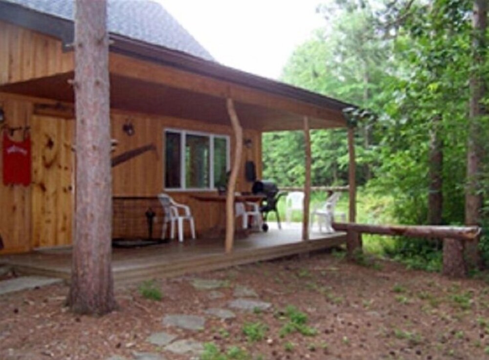 Secluded Private Cabin Tucked Away In Red Pines By Keuka Lake In