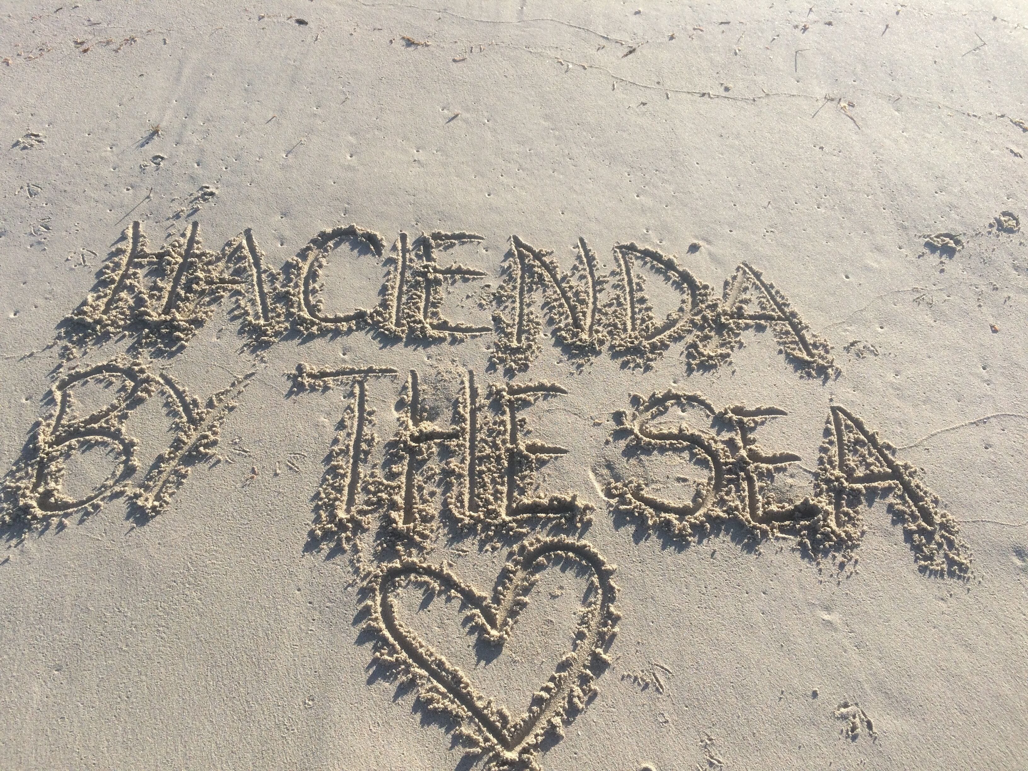 Hacienda by the Sea - Pet Friendly