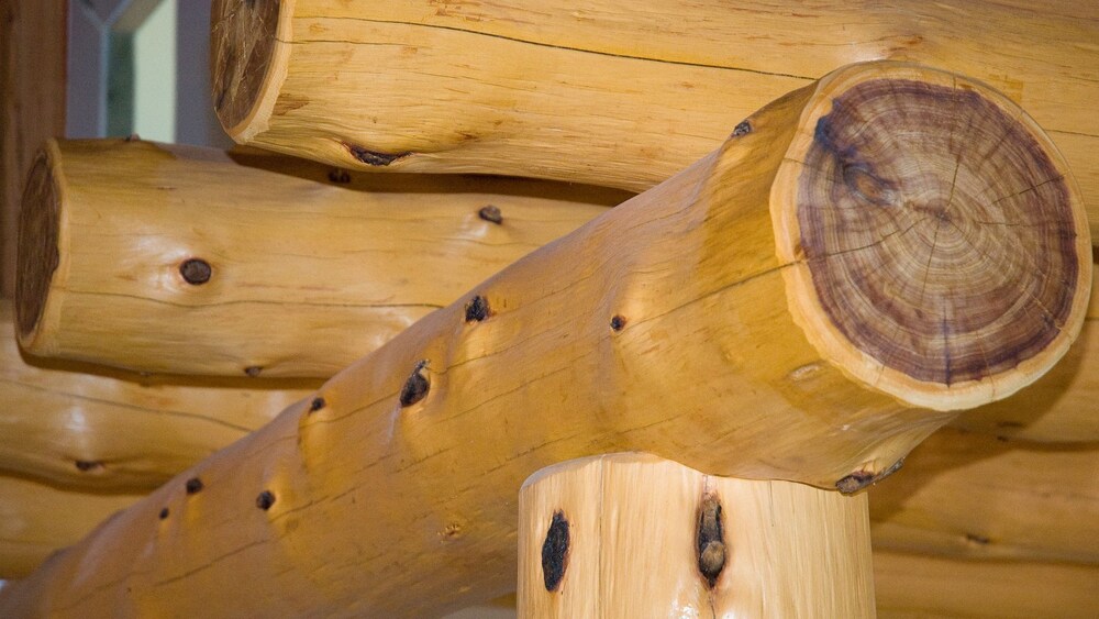 Red Earth Lodge secluded bushland setting Deals & Reviews