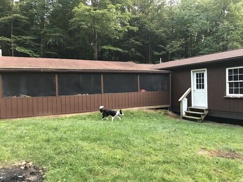 Best Cabins In Central Pennsylvania For 2020 Find Cheap 52