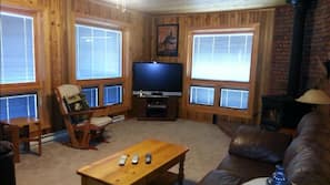 TV, fireplace, video-game console, DVD player