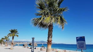 Plage à proximité