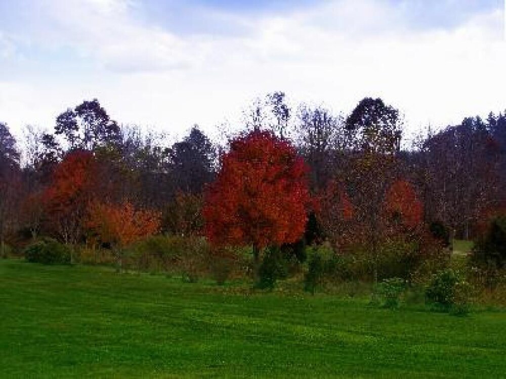 Linville River Log Cabins