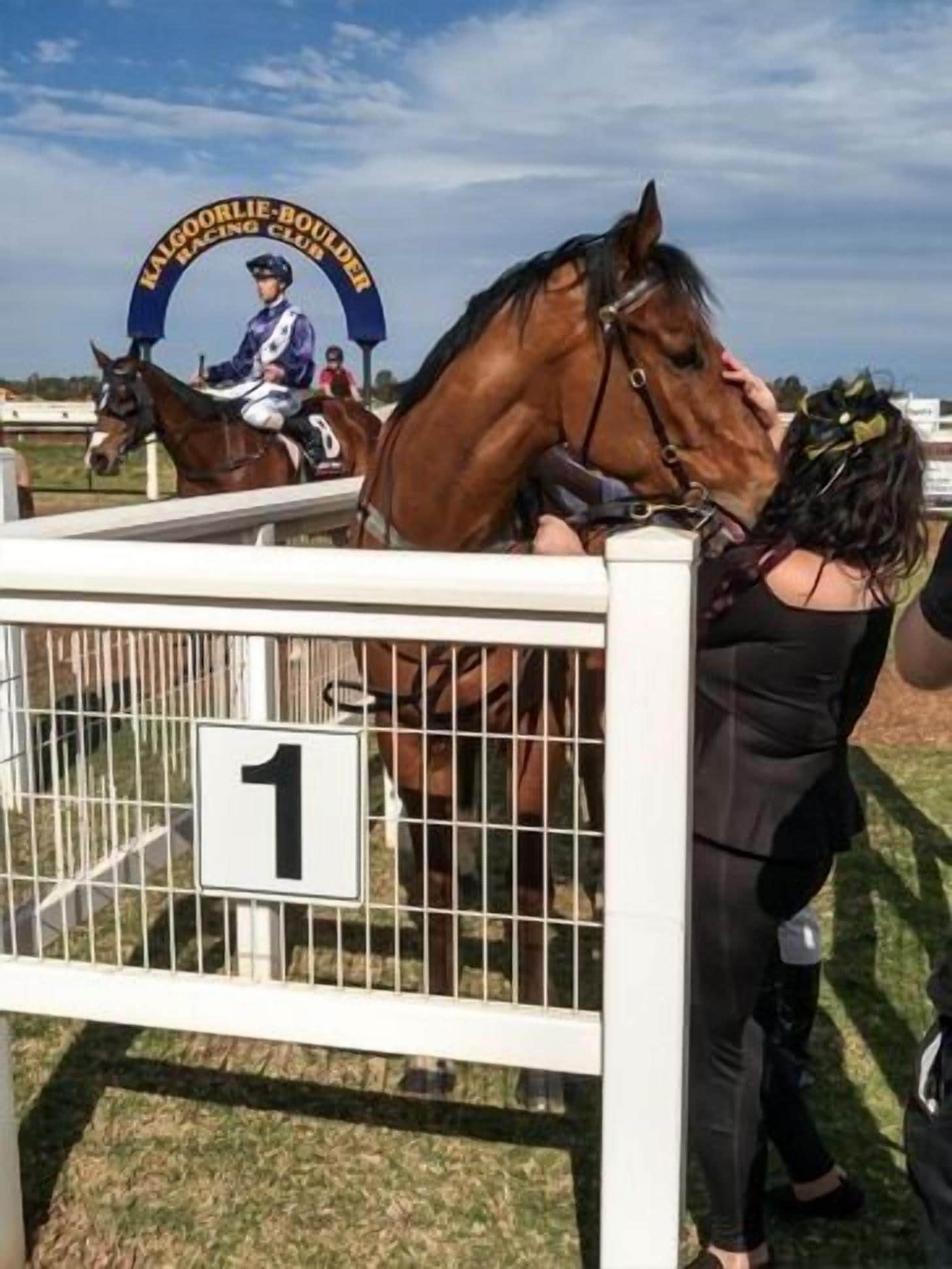 Paddy's Golden Patch Kalgoorlie Second Property Also Subject to Availability
