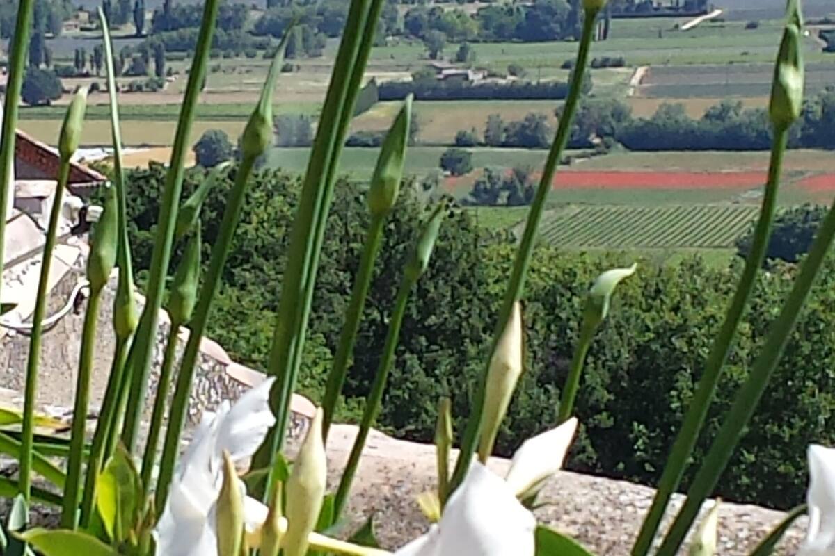 Luberon Menerbes Apartamento Luminoso Uma Das Mais Belas Aldeias Da Franca Menerbes Fra Expedia Fr
