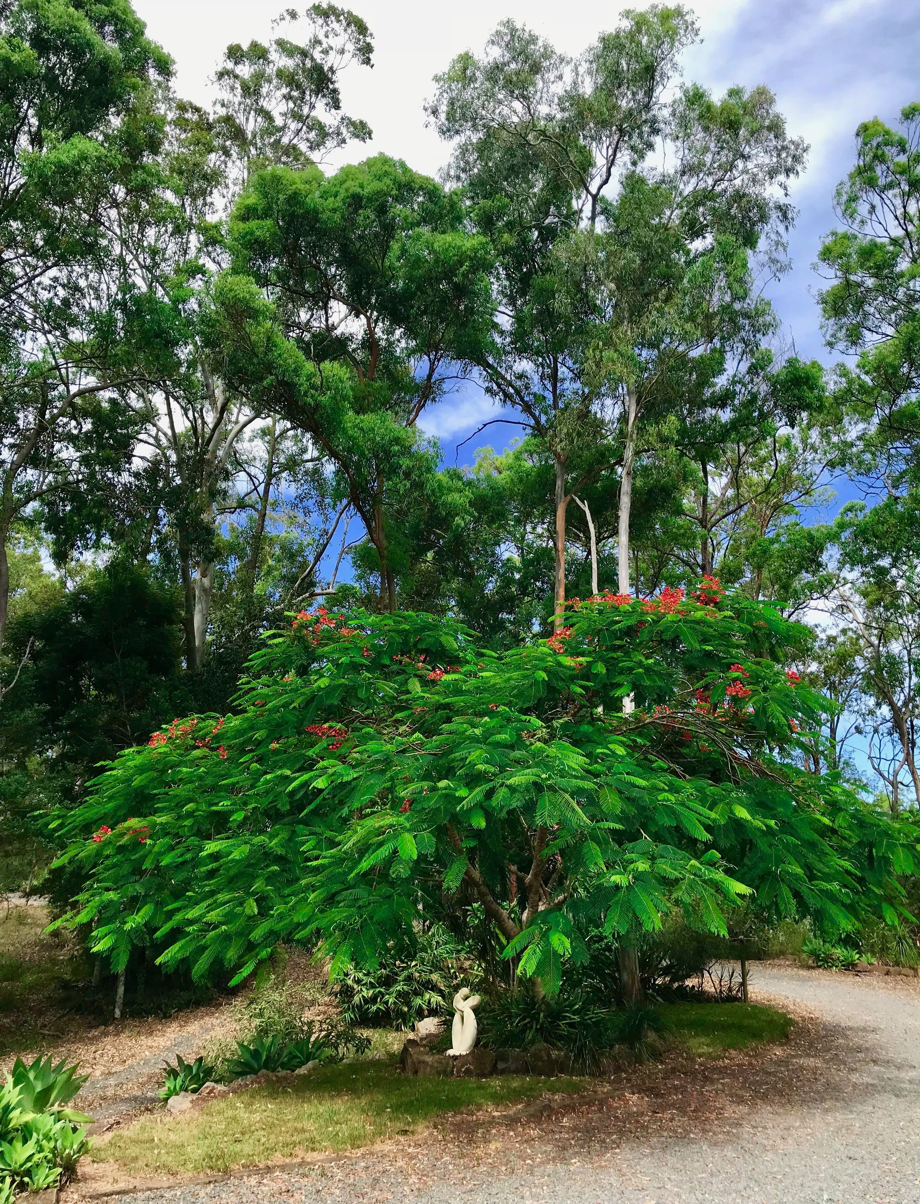 Forest Setting, Pool, Cabana, Large Bath, Netflix/foxtel/wifi, King Size Bed