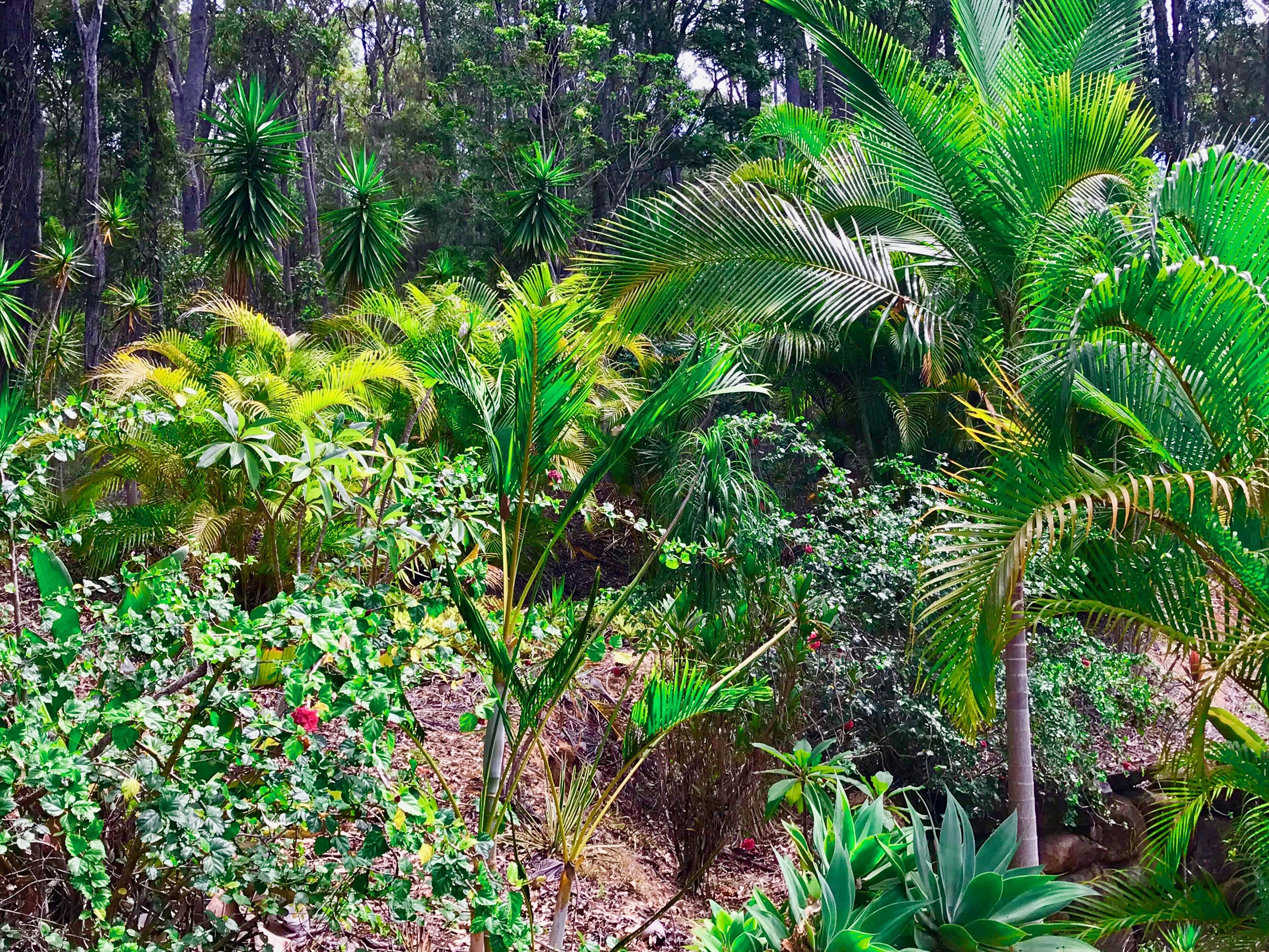 Forest Setting, Pool, Cabana, Large Bath, Netflix/foxtel/wifi, King Size Bed