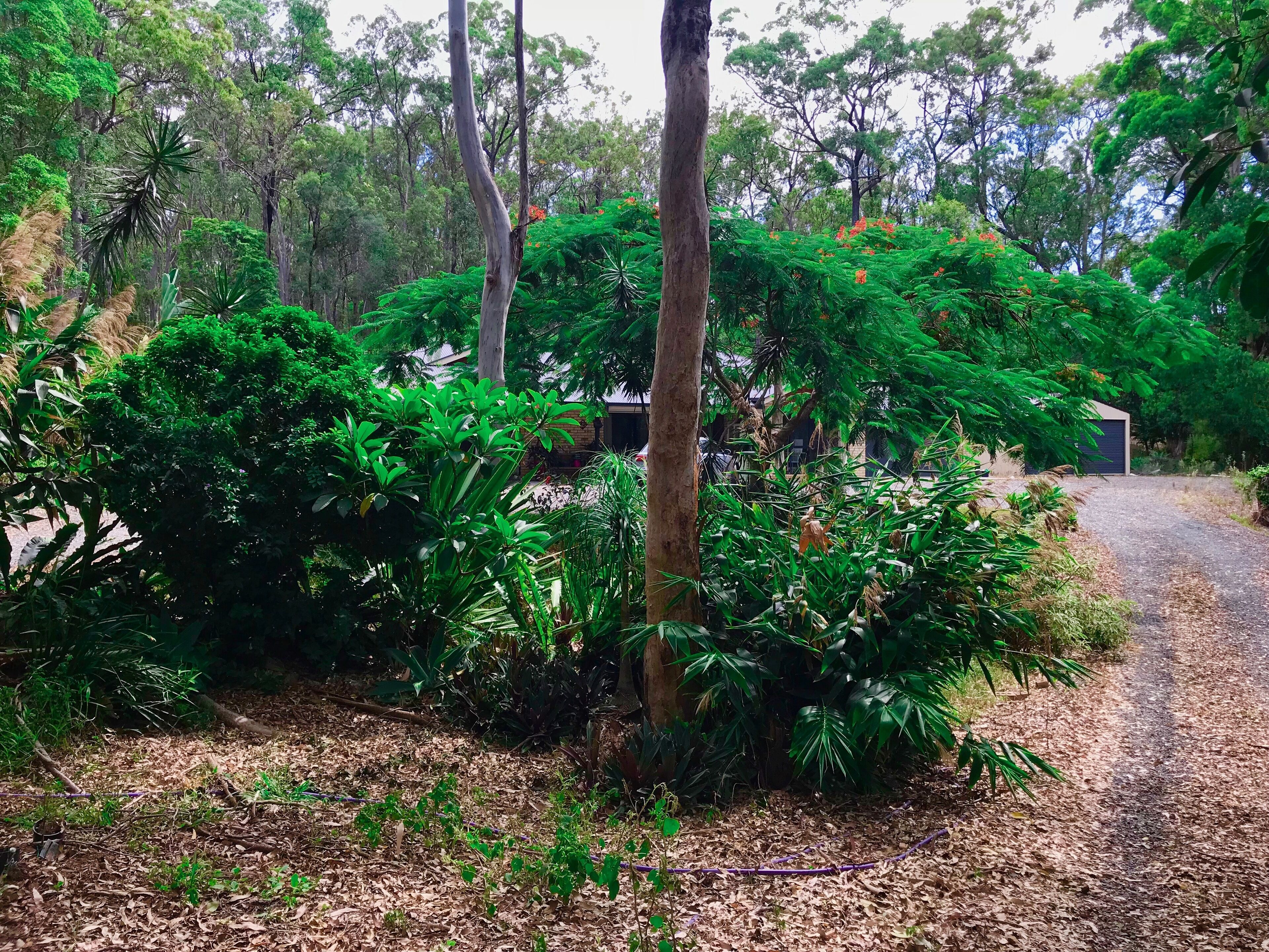 Forest Setting, Pool, Cabana, Large Bath, Netflix/foxtel/wifi, King Size Bed