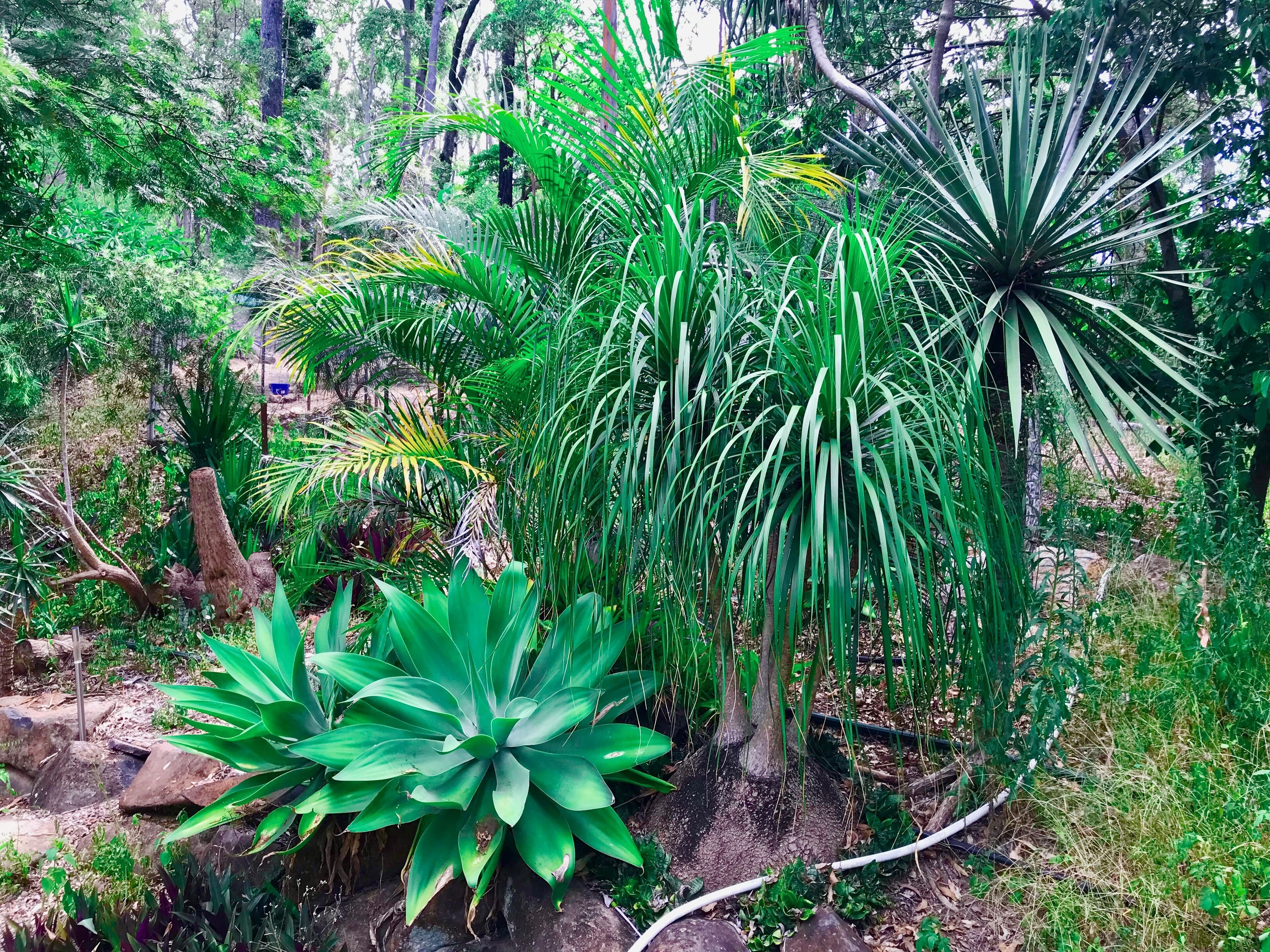 Forest Setting, Pool, Cabana, Large Bath, Netflix/foxtel/wifi, King Size Bed