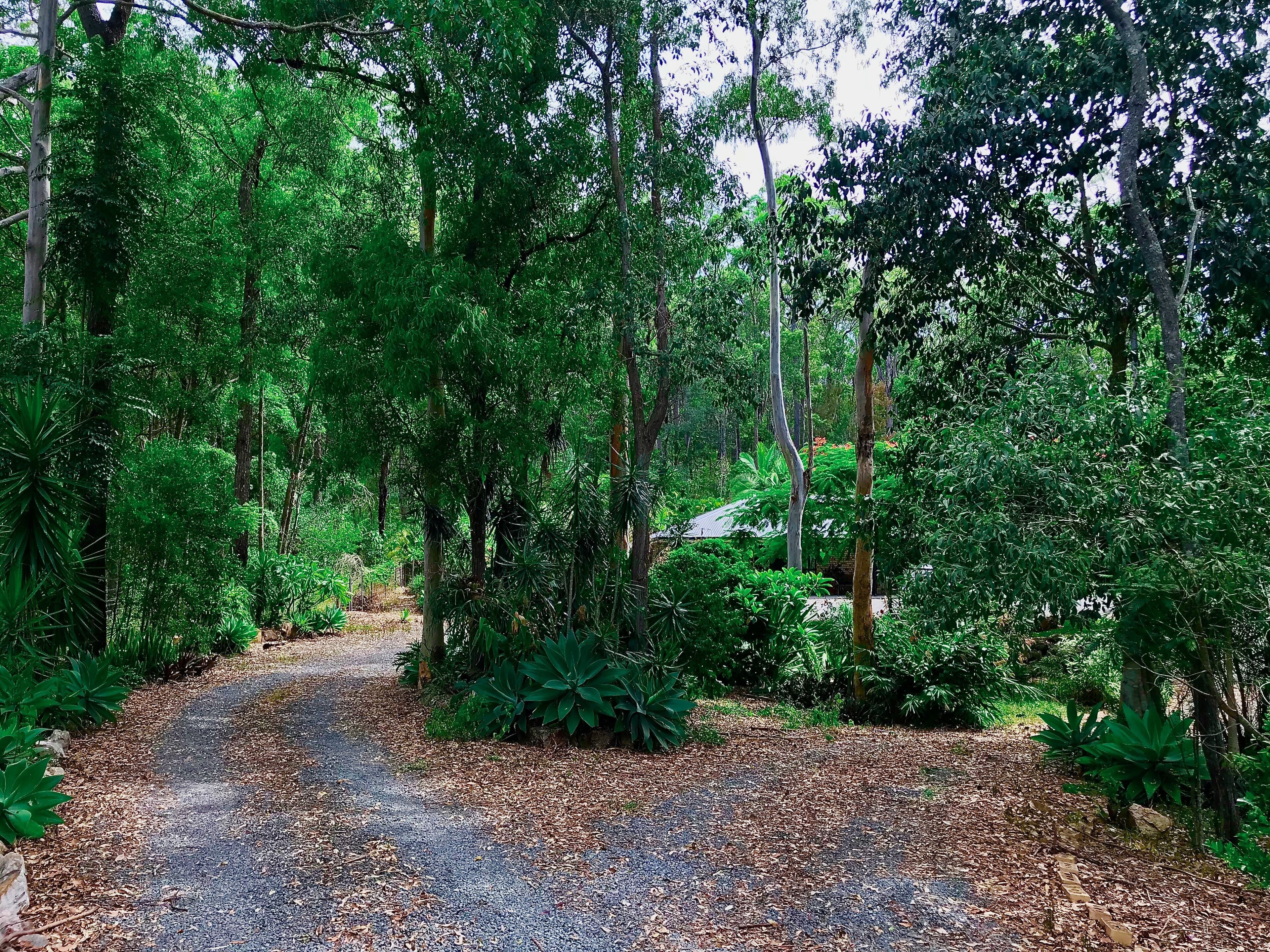 Forest Setting, Pool, Cabana, Large Bath, Netflix/foxtel/wifi, King Size Bed