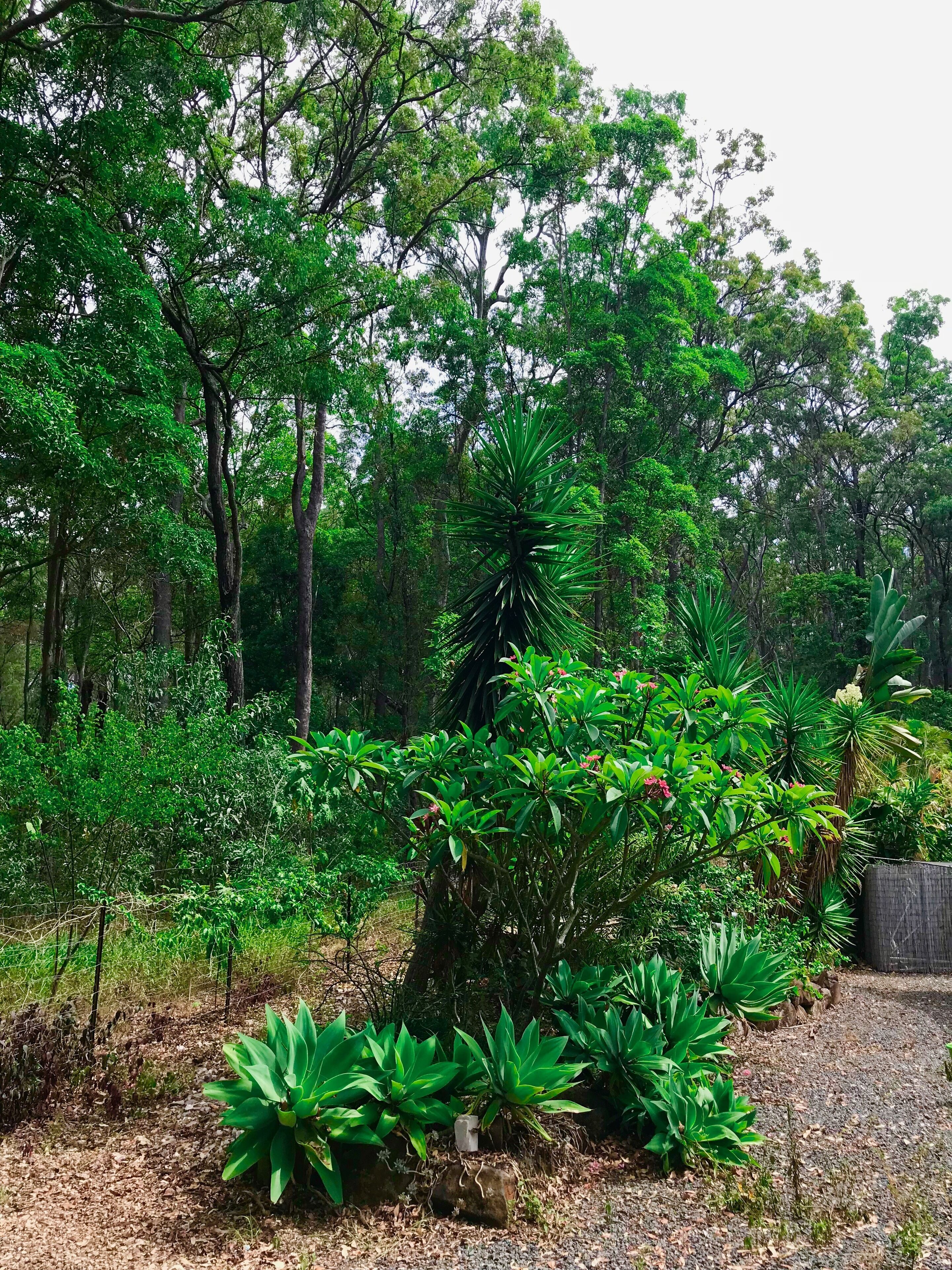 Forest Setting, Pool, Cabana, Large Bath, Netflix/foxtel/wifi, King Size Bed