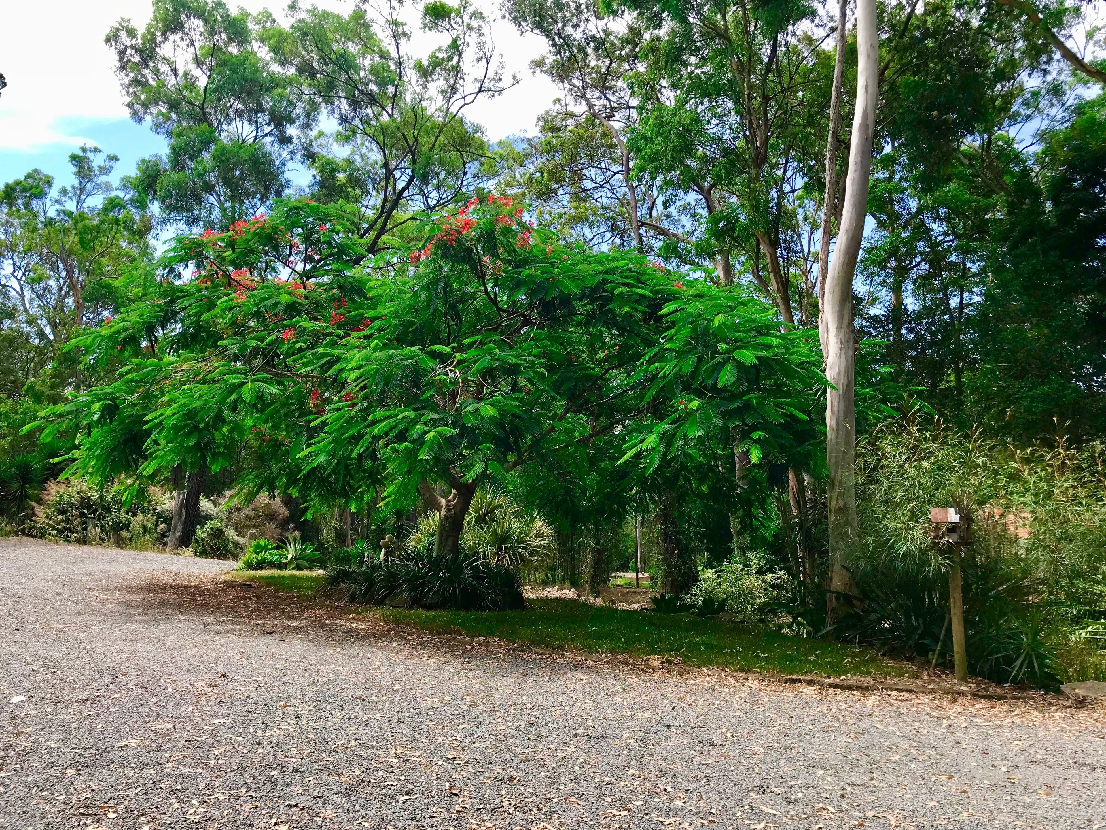 Forest Setting, Pool, Cabana, Large Bath, Netflix/foxtel/wifi, King Size Bed