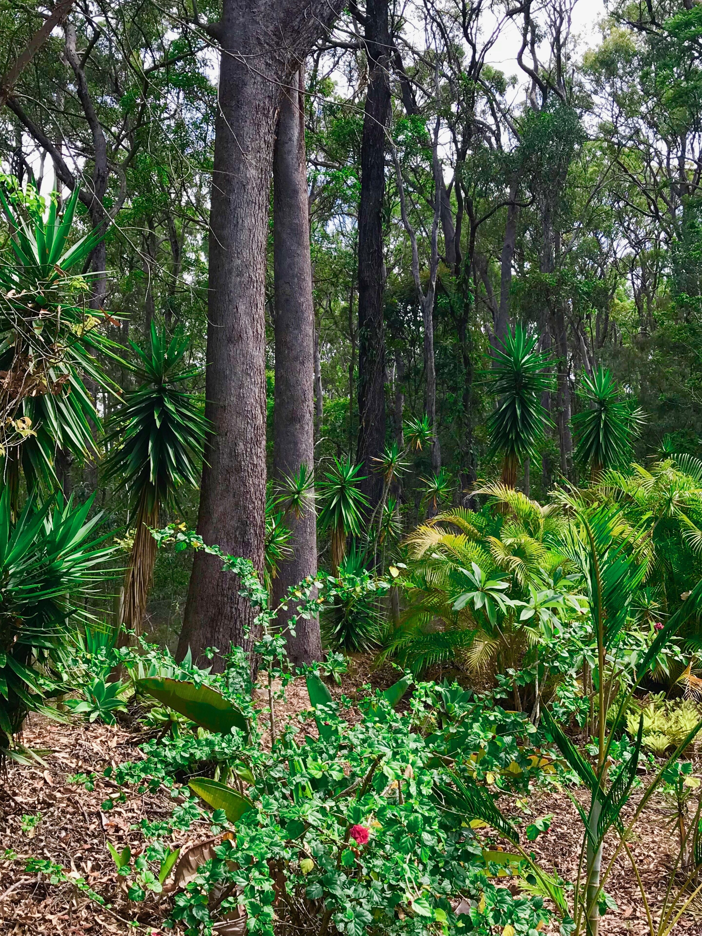 Forest Setting, Pool, Cabana, Large Bath, Netflix/foxtel/wifi, King Size Bed