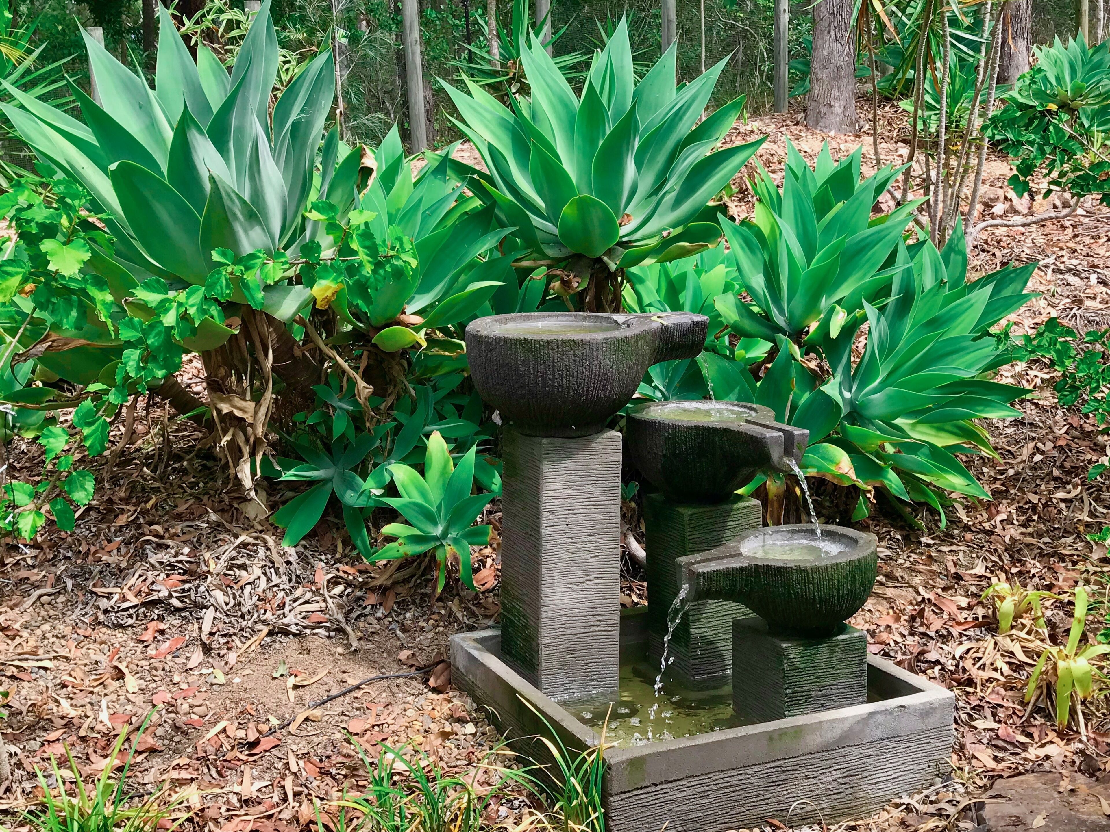 Forest Setting, Pool, Cabana, Large Bath, Netflix/foxtel/wifi, King Size Bed