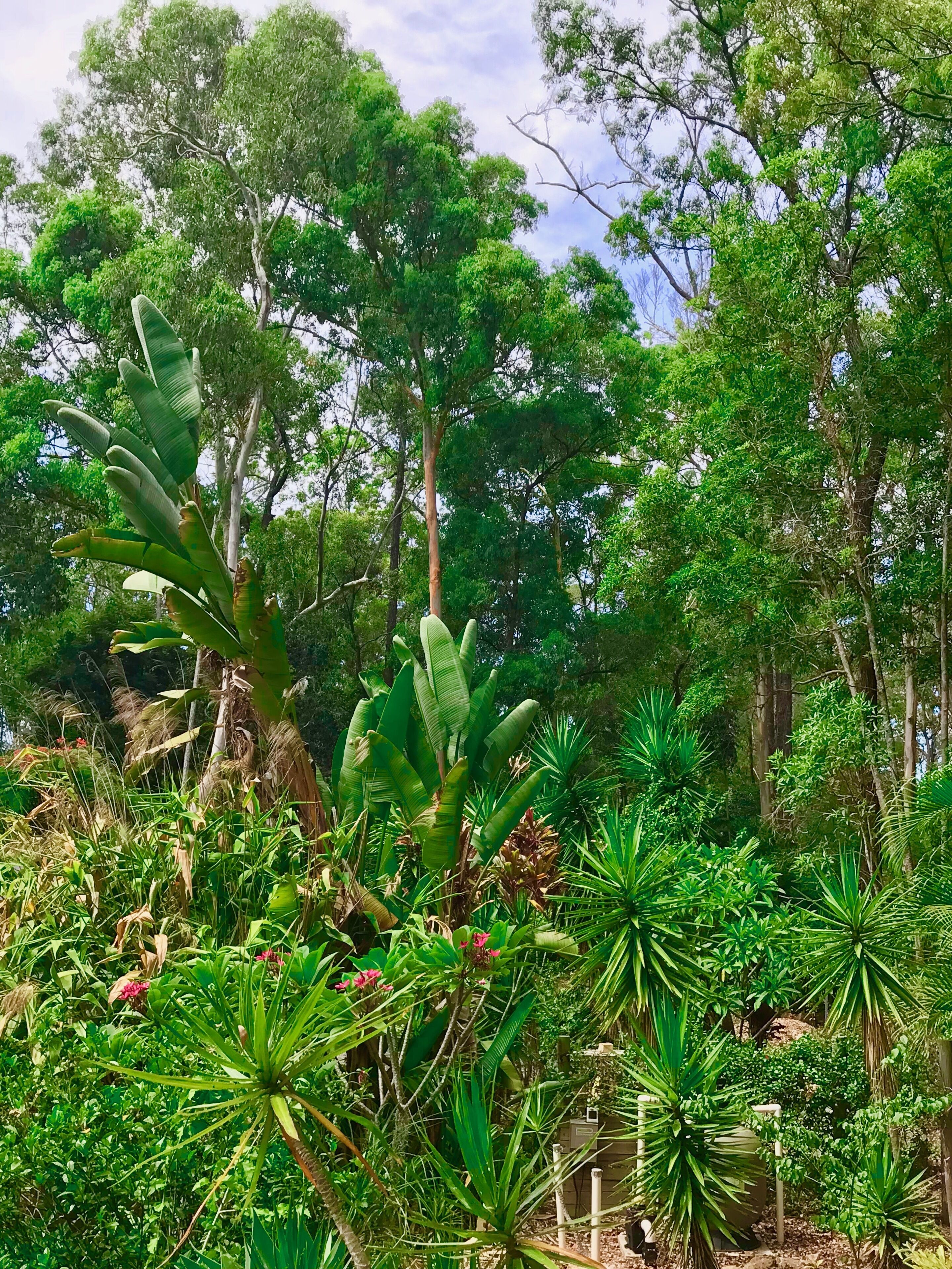 Forest Setting, Pool, Cabana, Large Bath, Netflix/foxtel/wifi, King Size Bed