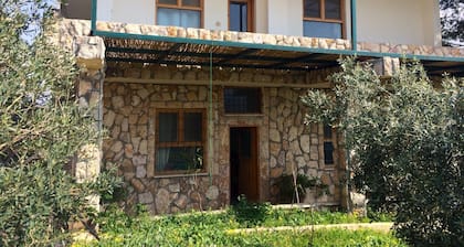 Dibeen Eco Farm House