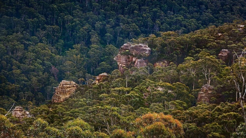 Seven Sisters Escarpment Views