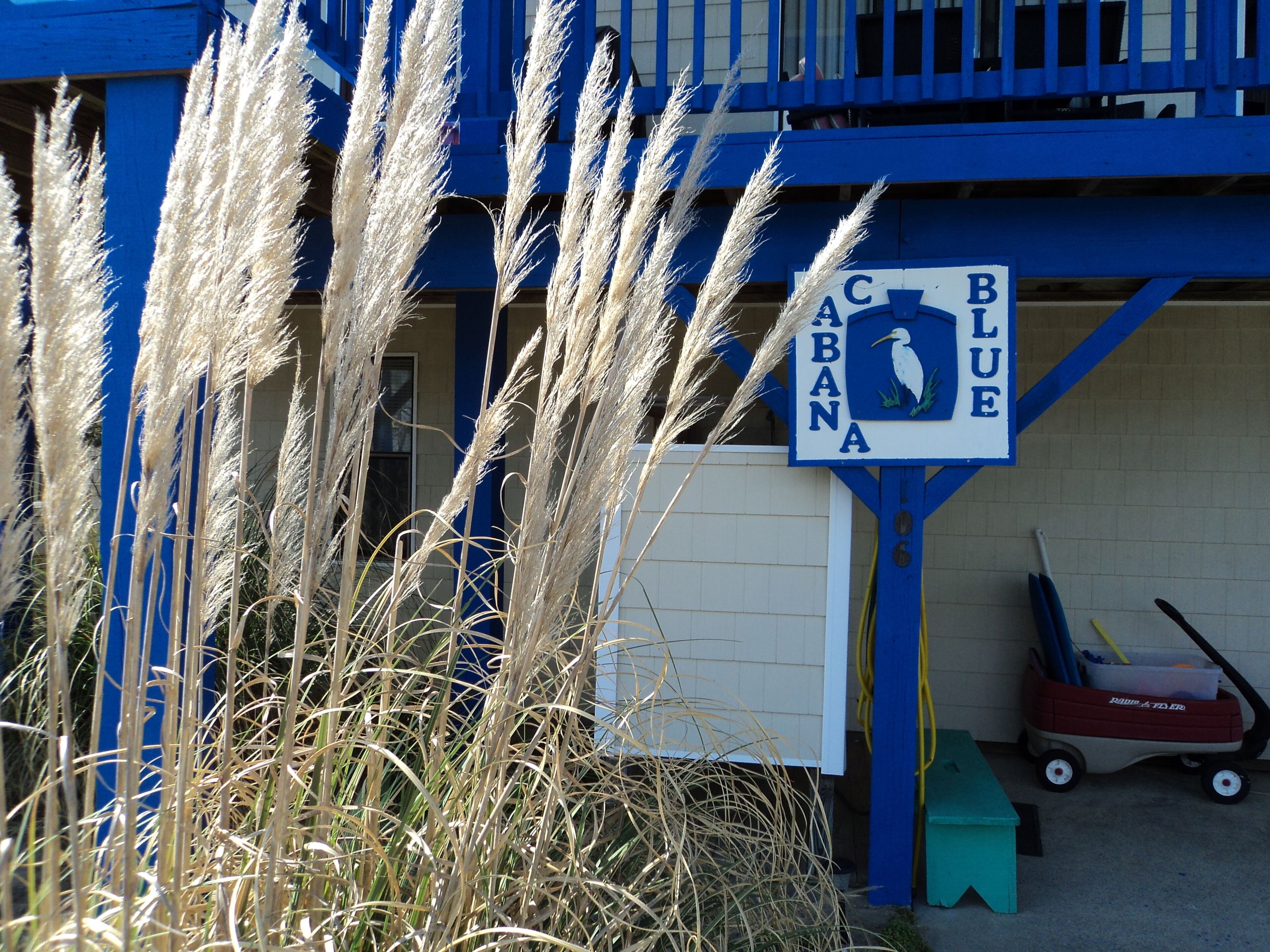 dog friendly cafe near me open now