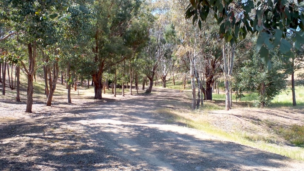 Lazina Grove Lakehouse - Bonnie Doon