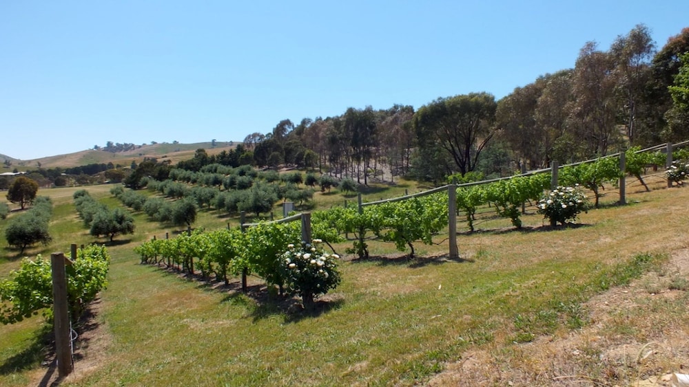 Lazina Grove Lakehouse - Bonnie Doon