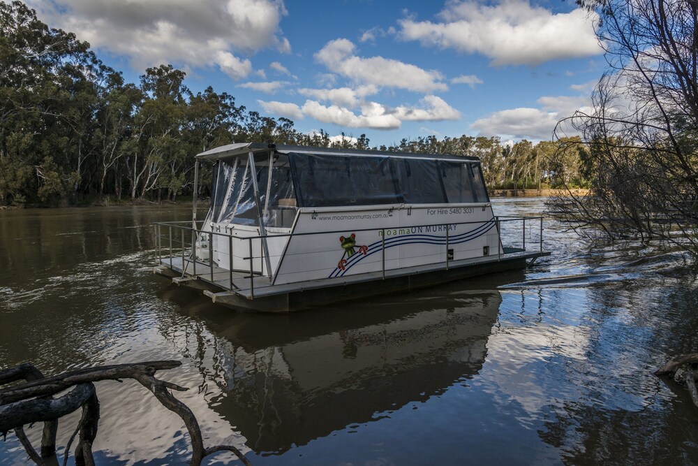 Moama on Murray River Cruisers