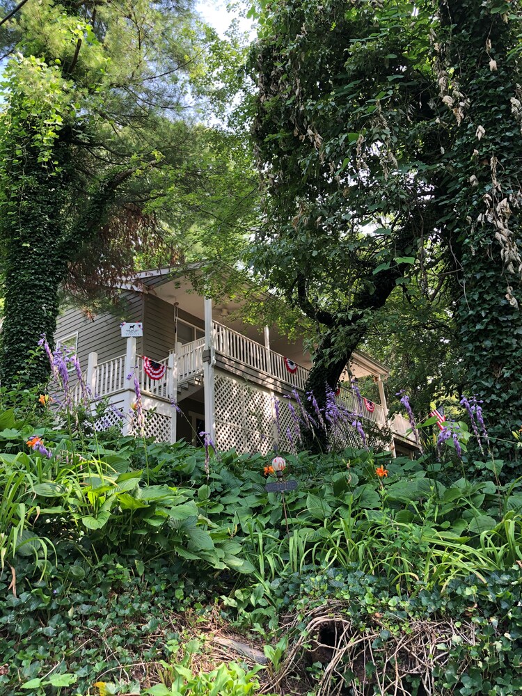 ❤️*Downtown Saluda*❤️PETS *Large OpenConcept HOME & LOTS of PARKING-16 mins 2 TIEC