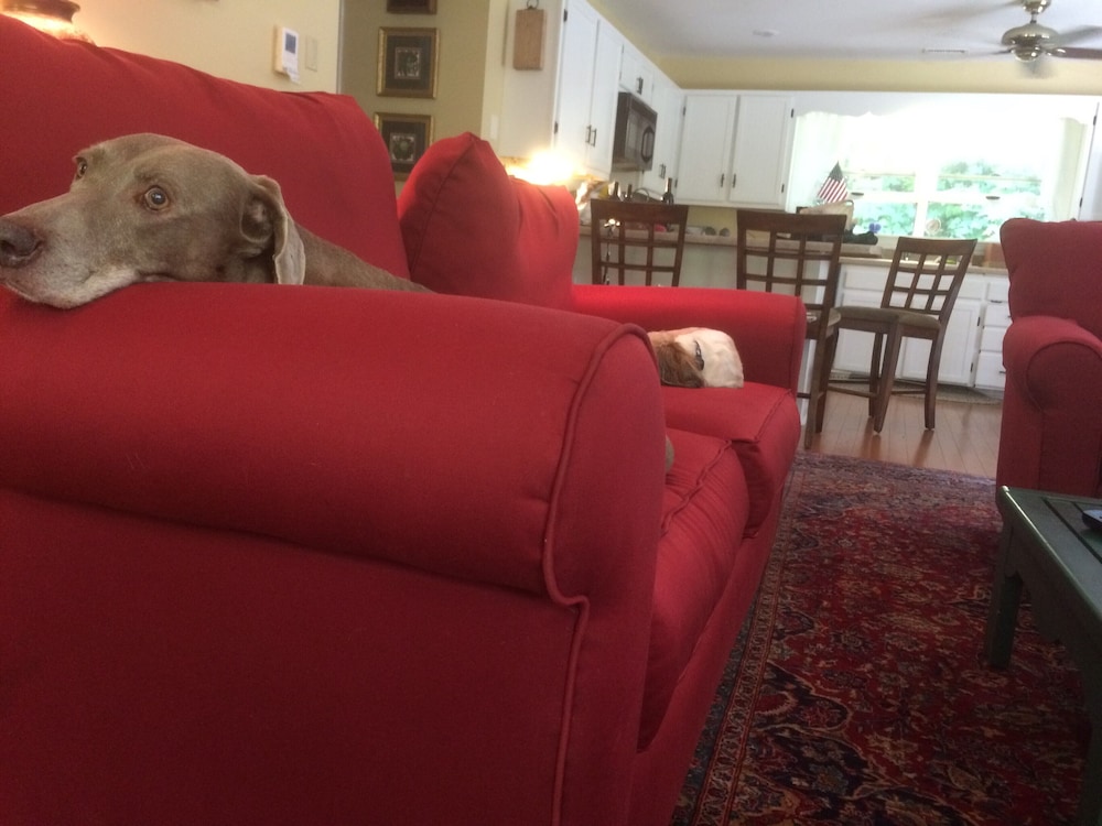 ❤️*Downtown Saluda*❤️PETS *Large OpenConcept HOME & LOTS of PARKING-16 mins 2 TIEC