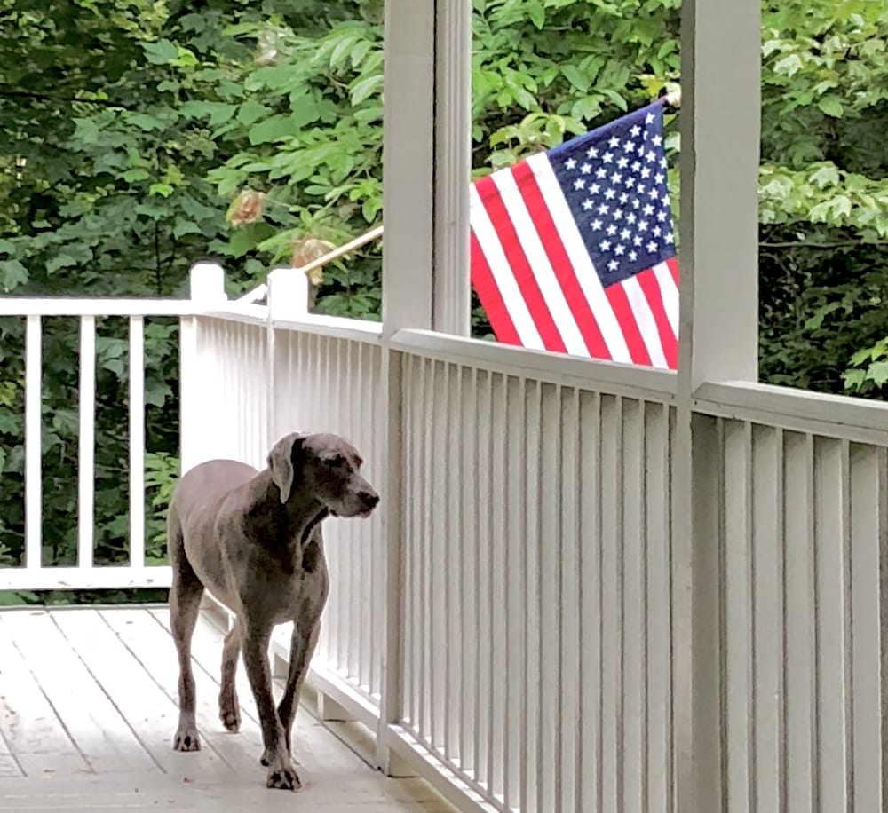 ❤️*Downtown Saluda*❤️PETS *Large OpenConcept HOME & LOTS of PARKING-16 mins 2 TIEC