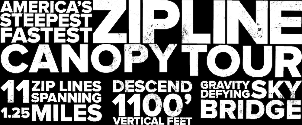 ❤️*Downtown Saluda*❤️PETS *Large OpenConcept HOME & LOTS of PARKING-16 mins 2 TIEC