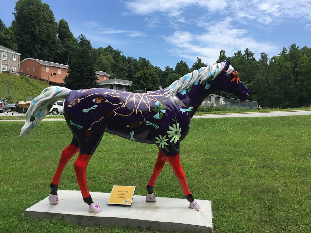 ❤️*Downtown Saluda*❤️PETS *Large OpenConcept HOME & LOTS of PARKING-16 mins 2 TIEC