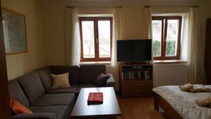 Flat-screen TV