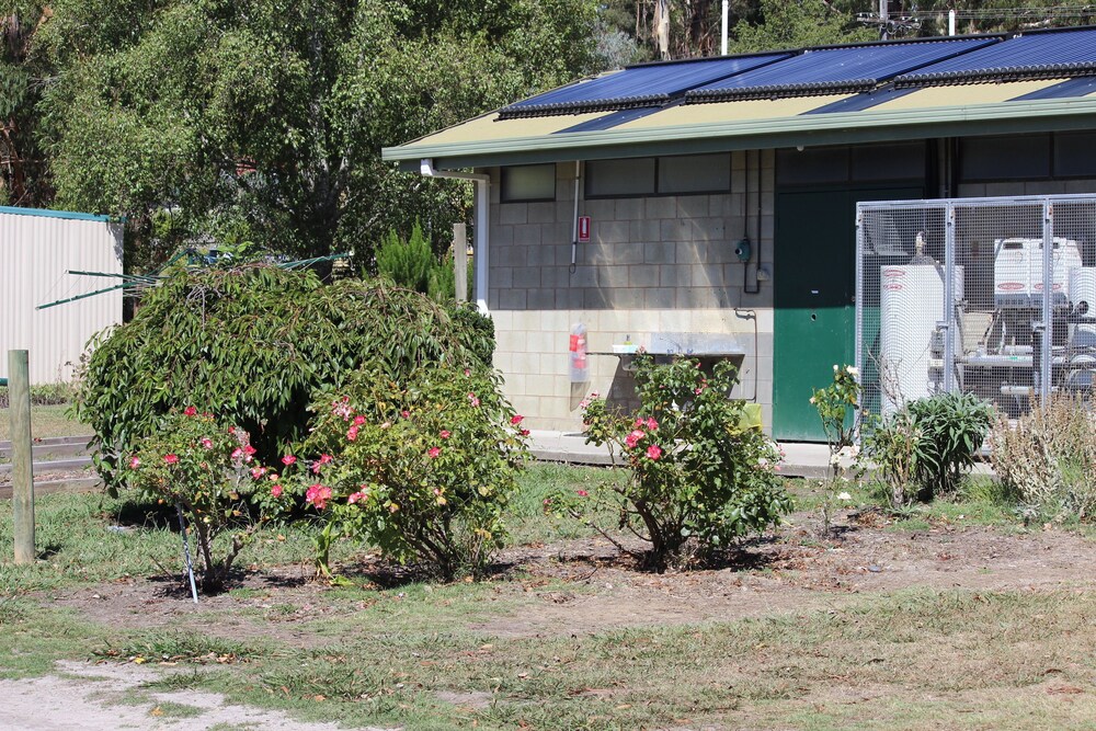 Wonky Stables Holiday Park