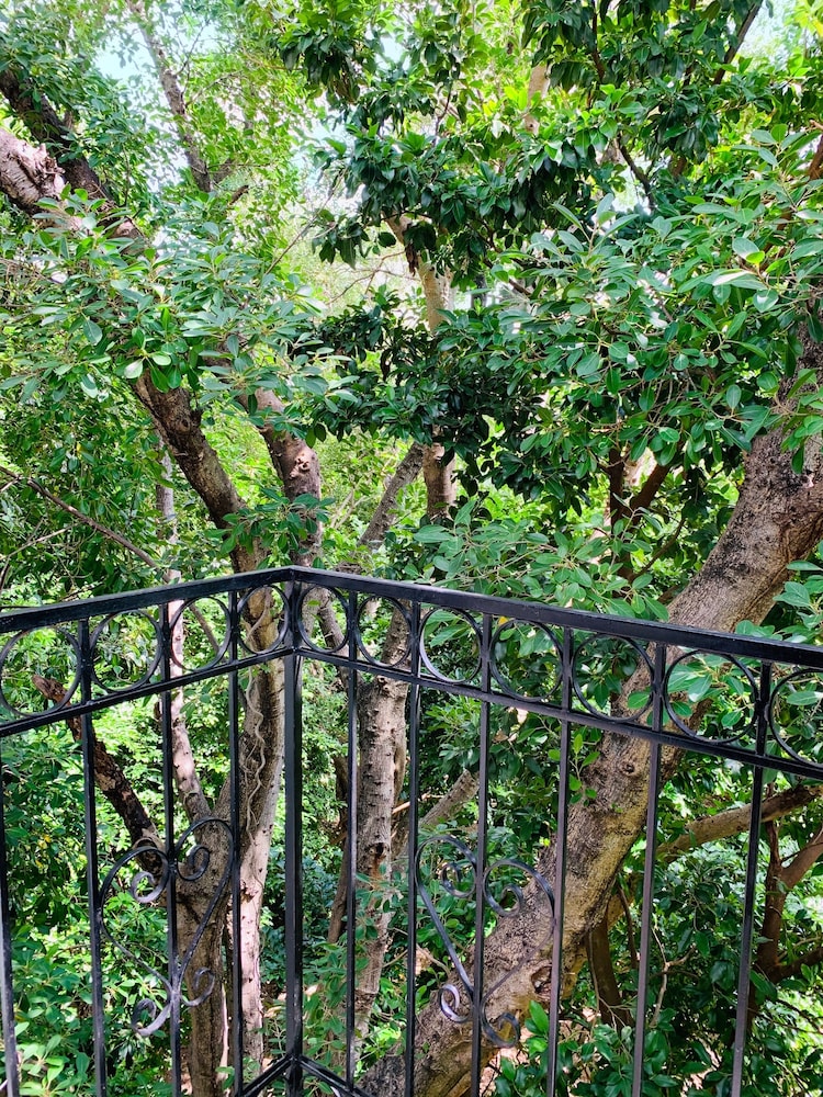 Foto - Villa Antilope