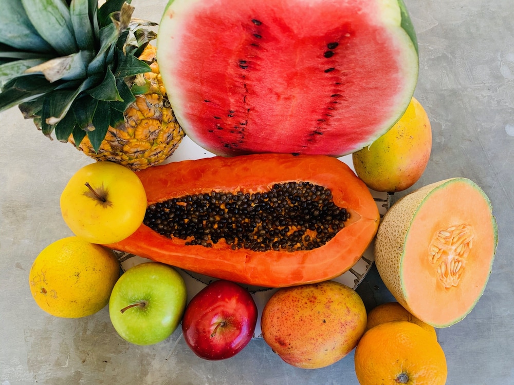 Foto - Villa Antilope