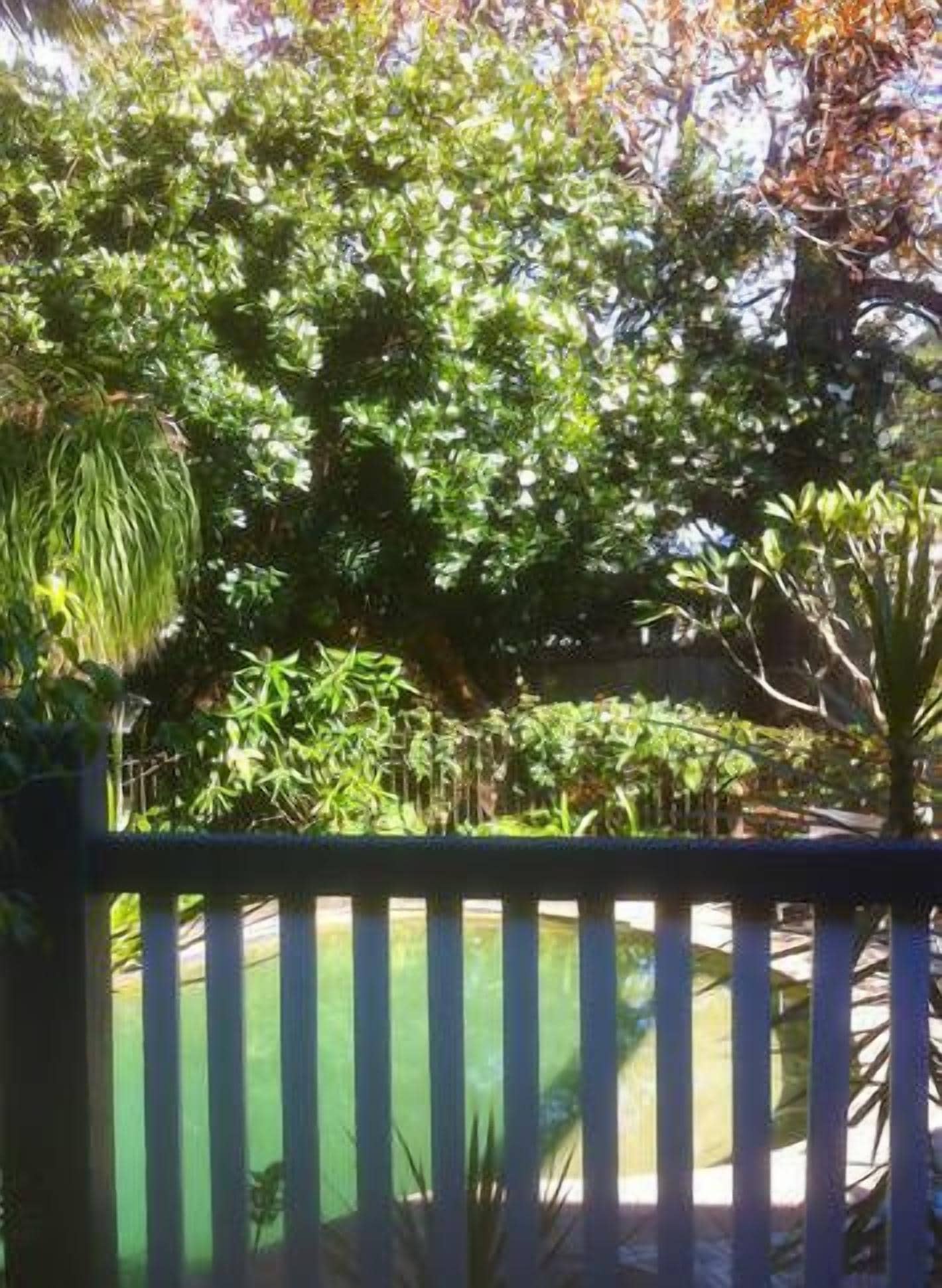 Comfortable Garden Guest Suite