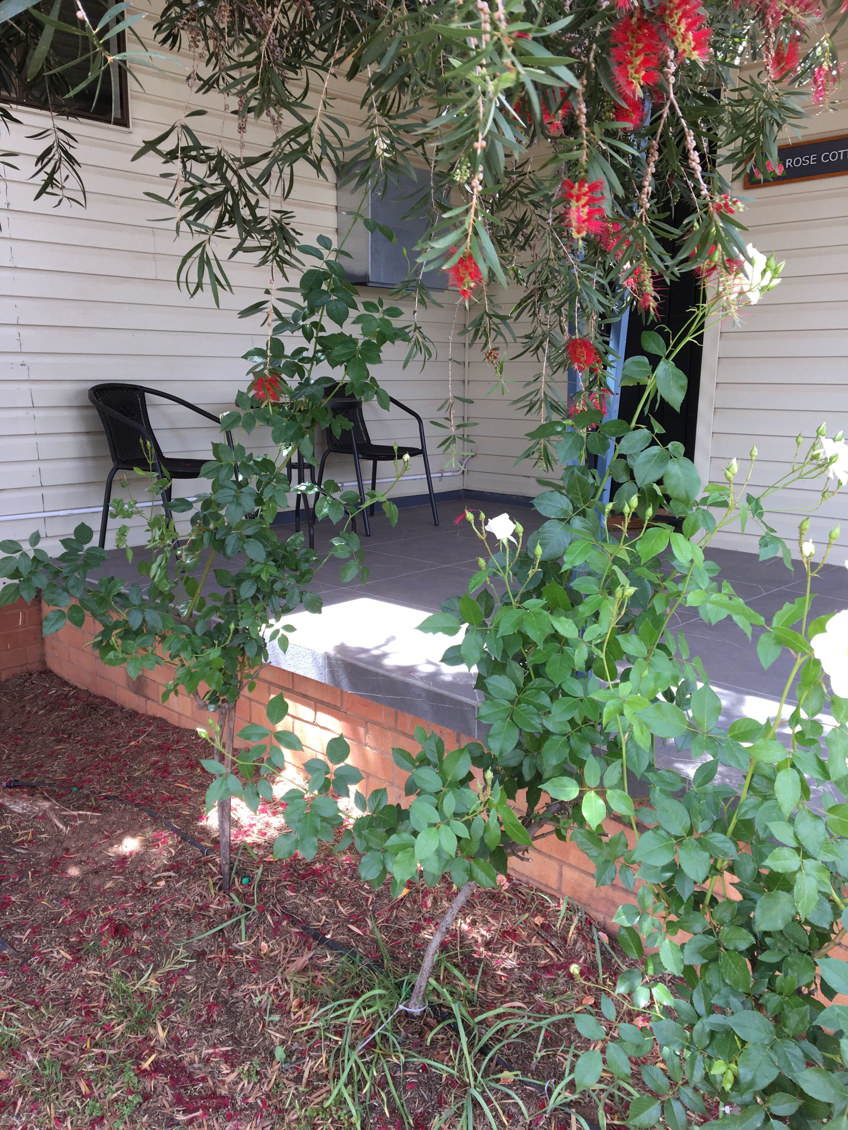 Rose Cottage - Pet and Family Friendly Accommodation