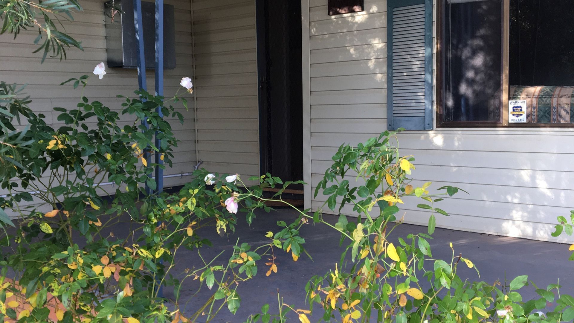 Rose Cottage - Pet and Family Friendly Accommodation